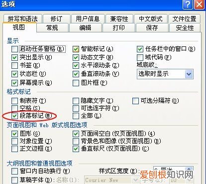 word回车符为何不显示，word文档回车符号不对齐