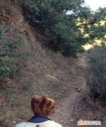 走丢的哥哥是什么意思，在山里迷路什么意思 在山里迷路寓意