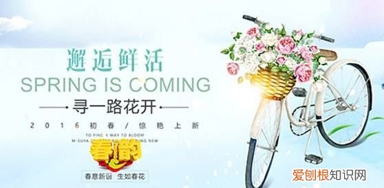 ps分辨率要怎么样调节,怎样调整ps界面的分辨率大小?
