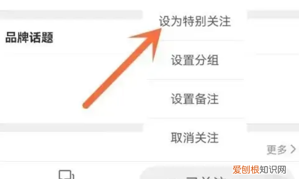 微博可以咋设置特别关注,新浪微博怎么设置特别关注