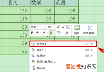 怎样复制表格保持原有格式