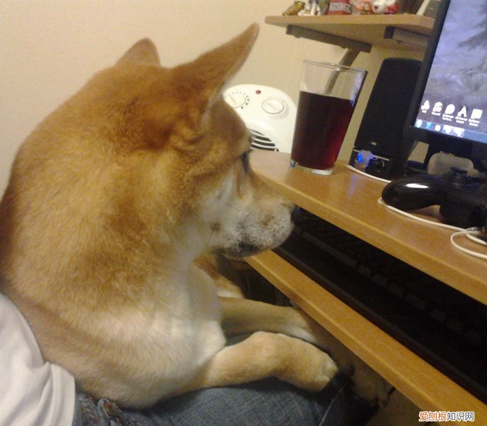 电脑一开机就蓝屏解决方法 开机蓝屏