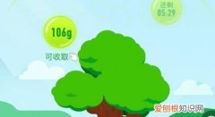 支付宝蚂蚁森林怎样浇水，蚂蚁森林怎么浇水给自己的树浇水