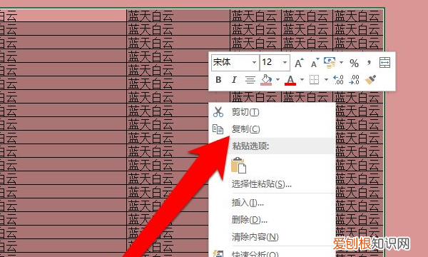 excel要怎样才能复制表格保持原有样式