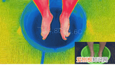 男女同款毛圈雪地袜 加绒加厚毛圈雪地袜中筒