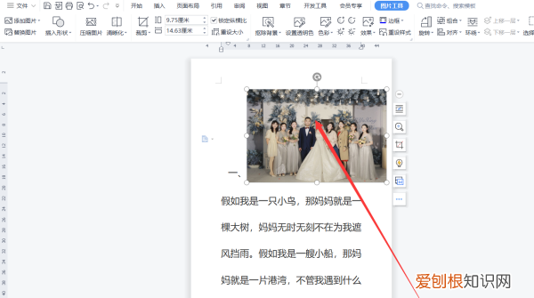 word文档怎么添加
