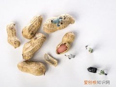 花生轻微发霉怎么处理 花生轻微发霉如何处理