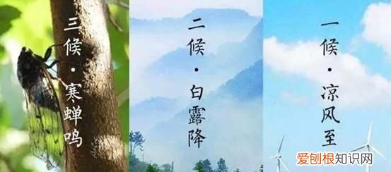 图解二十四节气之立秋 辛丑年二十四节气是什么日期