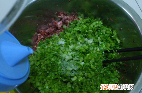 驴肉馅饺子的做法，做驴肉饺子放什么菜好吃
