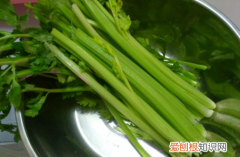 驴肉馅饺子的做法，做驴肉饺子放什么菜好吃