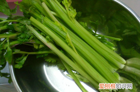 驴肉馅饺子的做法，做驴肉饺子放什么菜好吃