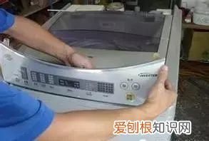 蟑螂最开始是怎么来到家里 蟑螂到底爱吃什么