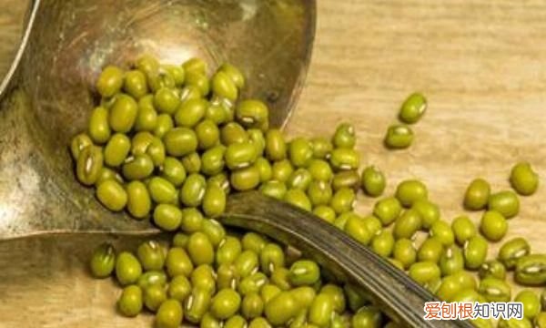 绿豆出虫煮熟了能吃 绿豆出虫煮熟了可以吃对