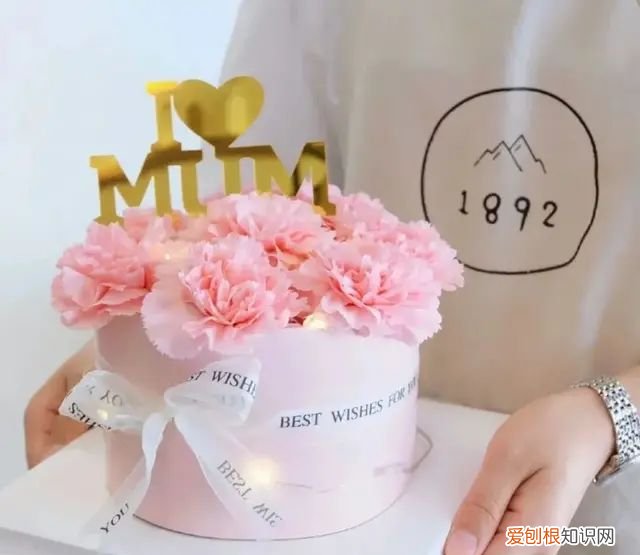 母亲节给妈妈送什么礼物比较实用 母亲节送什么给妈妈的礼物好看