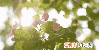 母亲节给妈妈送什么礼物比较实用 母亲节送什么给妈妈的礼物好看