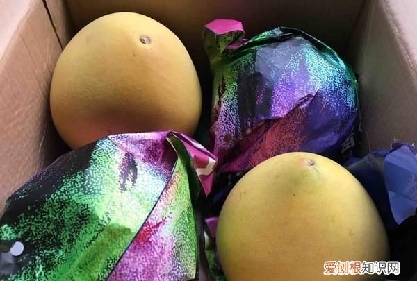 宝宝姜汤的做法感冒驱寒 天冷可以煮点什么给孩子驱寒