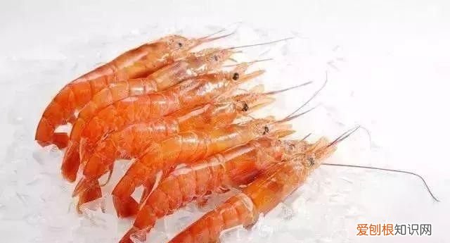 100种必吃的海鲜是什么 常吃的海鲜名字