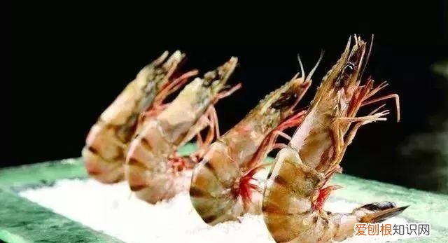 100种必吃的海鲜是什么 常吃的海鲜名字