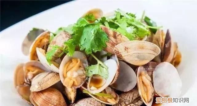 100种必吃的海鲜是什么 常吃的海鲜名字