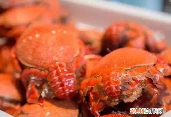 100种必吃的海鲜是什么 常吃的海鲜名字
