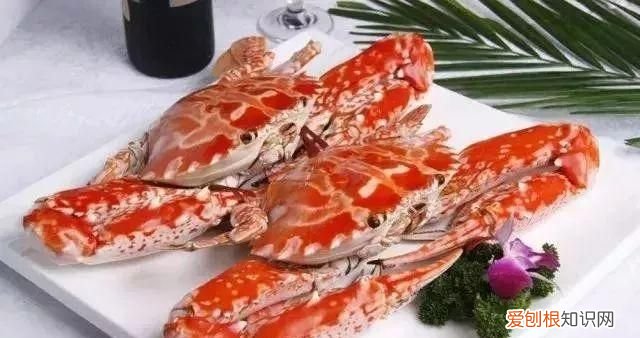 100种必吃的海鲜是什么 常吃的海鲜名字