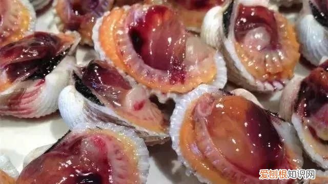 100种必吃的海鲜是什么 常吃的海鲜名字