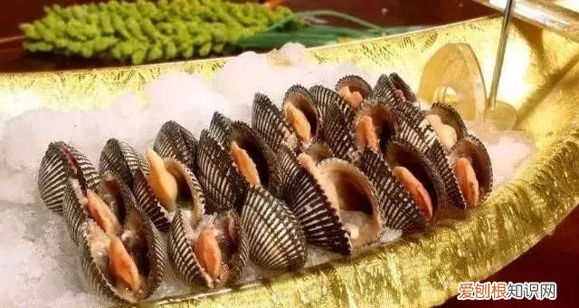 100种必吃的海鲜是什么 常吃的海鲜名字