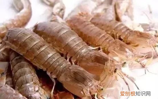 100种必吃的海鲜是什么 常吃的海鲜名字