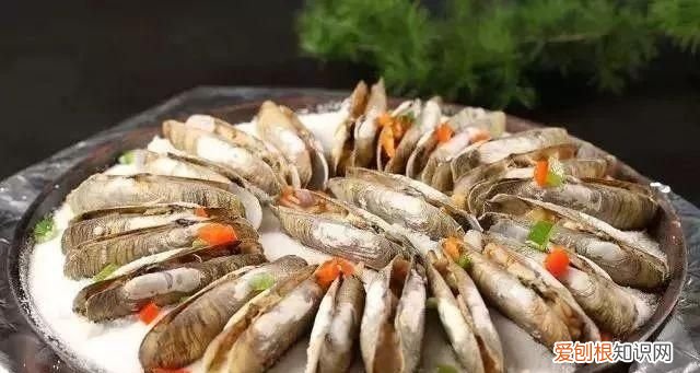 100种必吃的海鲜是什么 常吃的海鲜名字