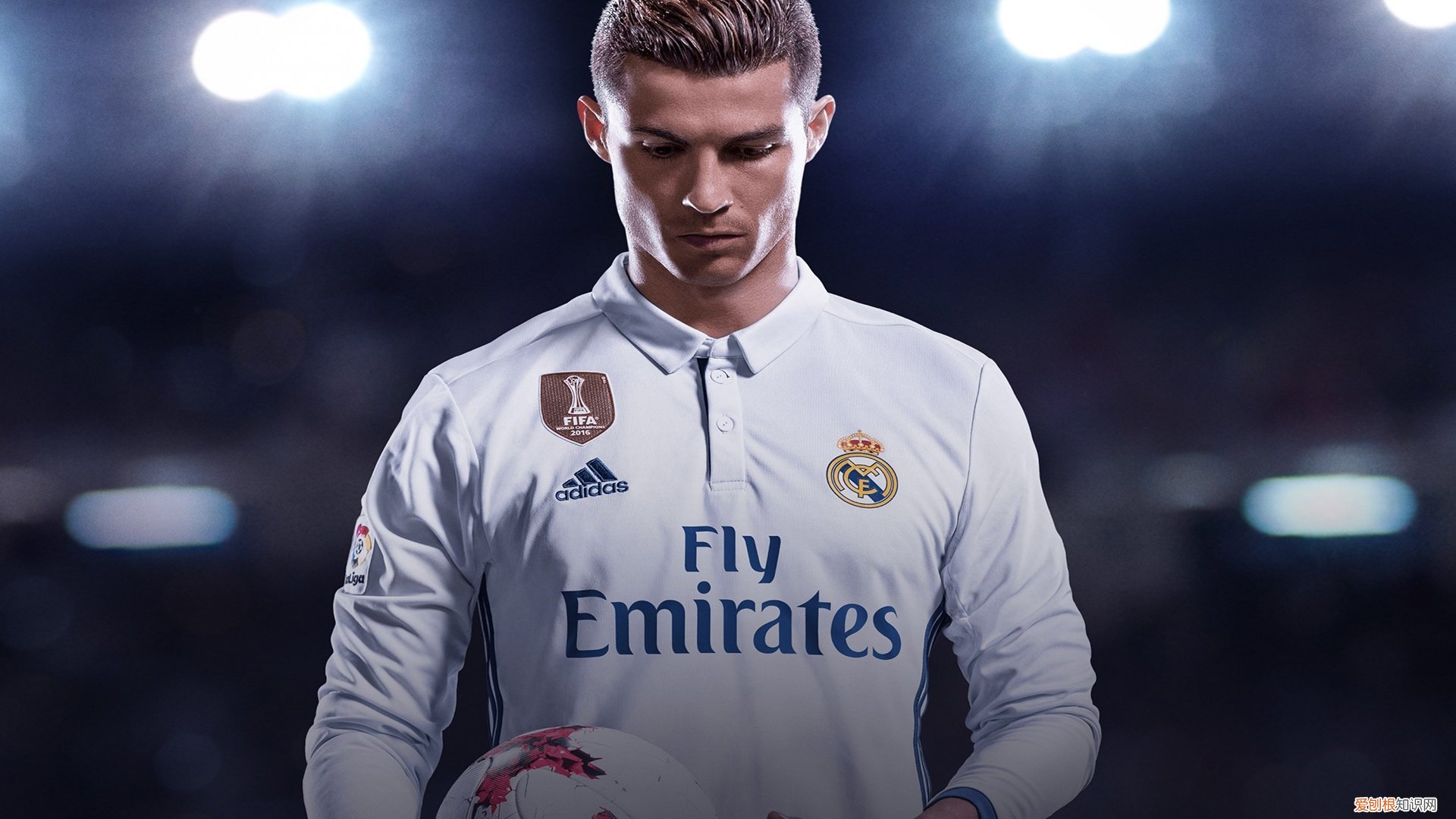 日本顶级家具品牌