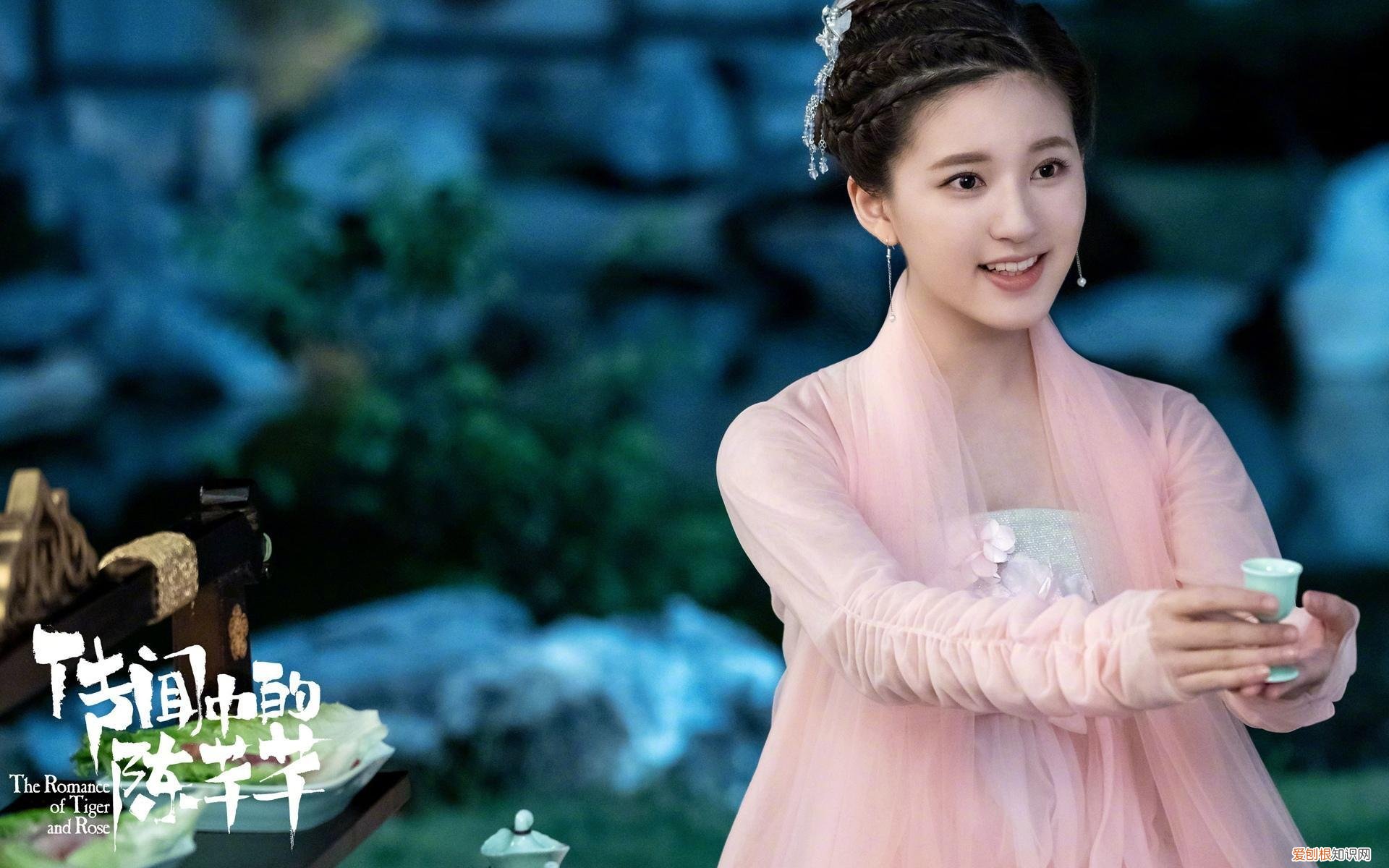 囊萤映雪的主人公是谁 囊萤映雪的主人公是谁