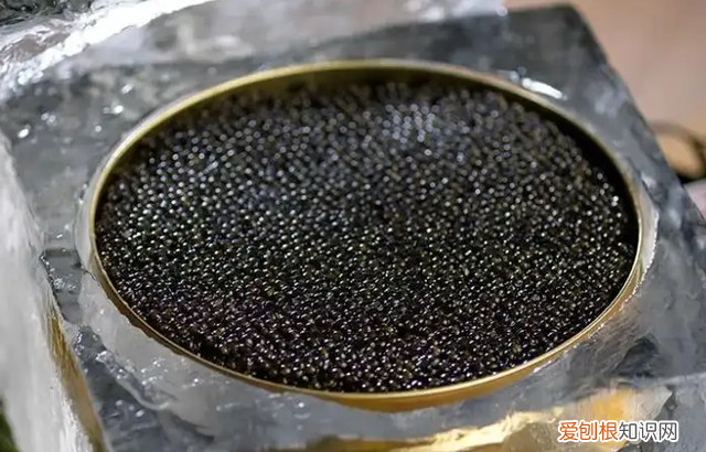 法国顶级美食菜谱 法国菜中的8大顶级美食
