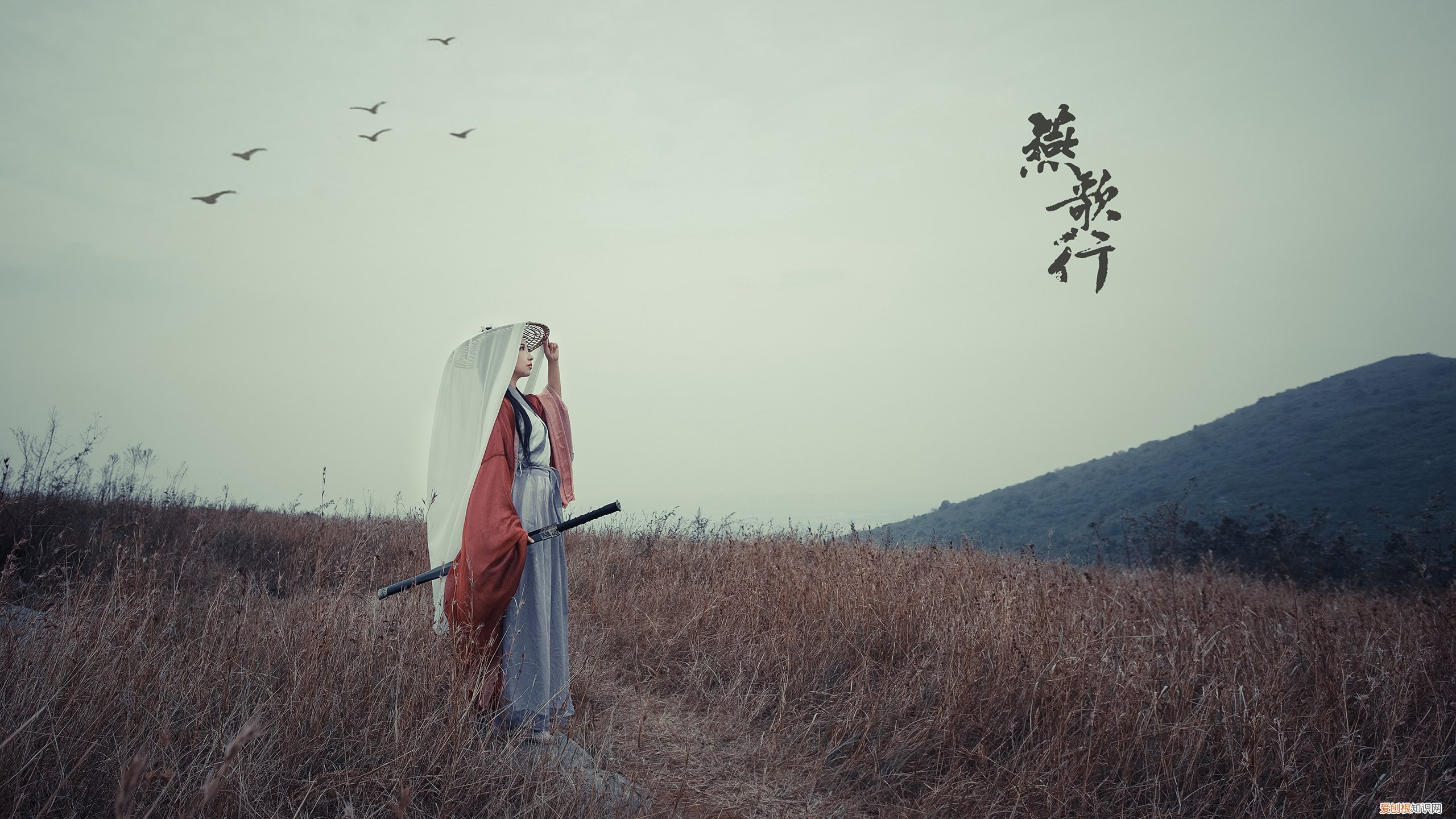 送你一捧白玫瑰，我在MU5735上的朋友