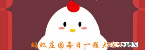 大熊猫最爱吃的竹子是什么蚂蚁森林
