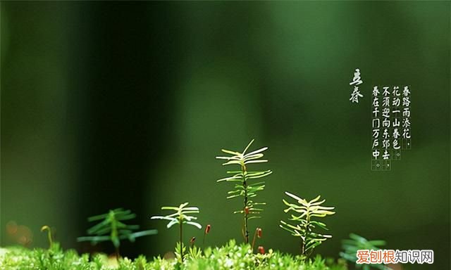 立春祝福语 简短独特,中国日报每日一词立春