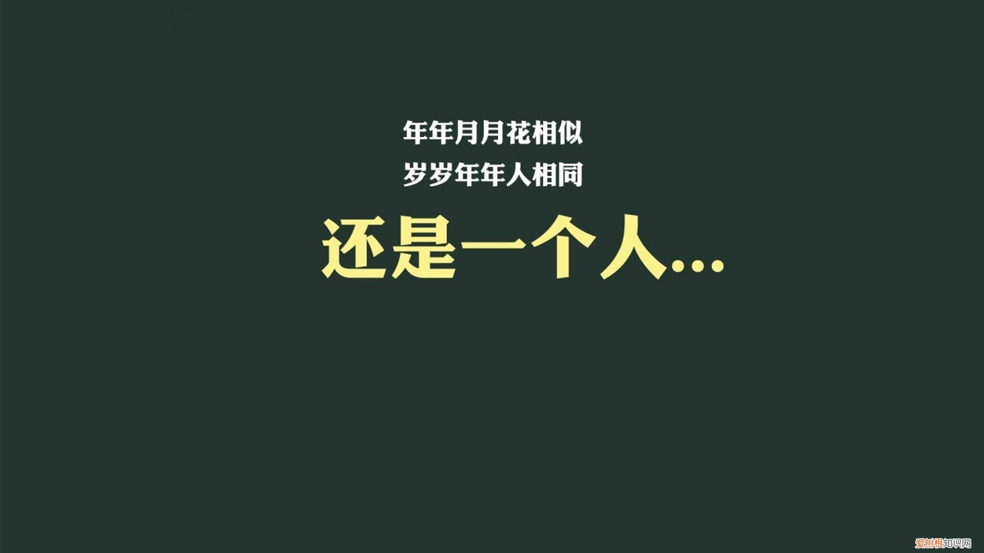 南京云锦围巾专卖店 「南京围巾」