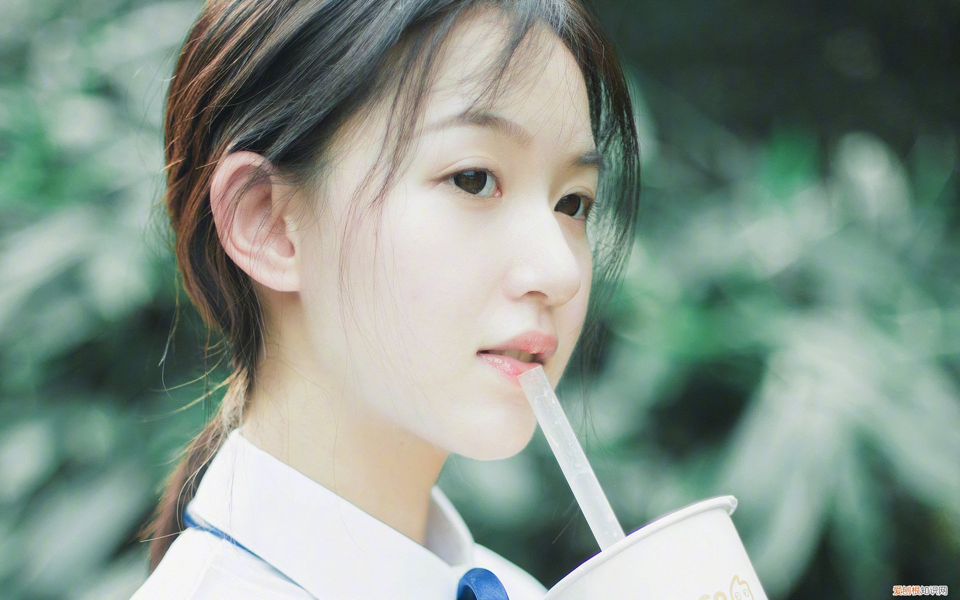 这就是史上最全寿司教程 怎么样做寿司