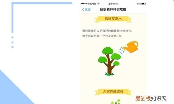 蚂蚁森林合种为什么要浇水，蚂蚁森林应该如何才可以浇水