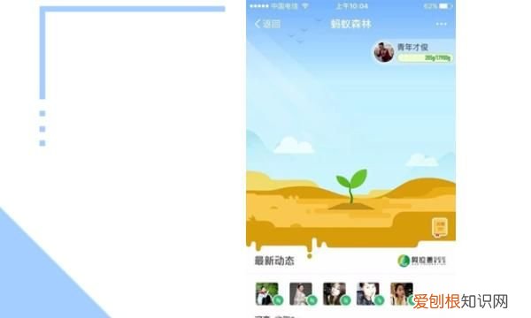 蚂蚁森林合种为什么要浇水，蚂蚁森林应该如何才可以浇水