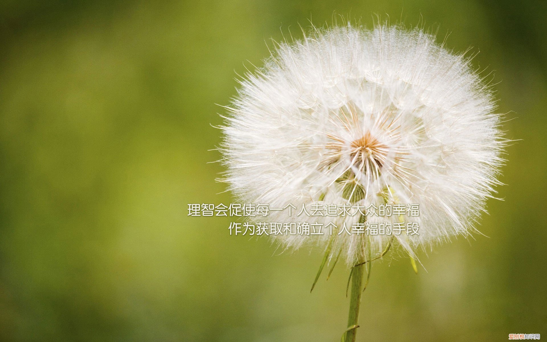 红极一时的蓝月亮为什么在家乐福 蓝月亮洗衣液致癌