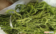 云南有一种野菜,云南用个破碗吃野菜的小伙子