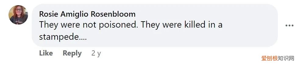 强生疫苗是什么类型疫苗