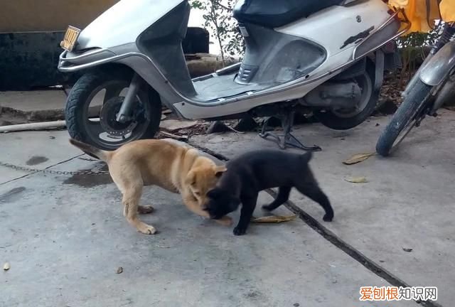 七副对仗工整的极品对联