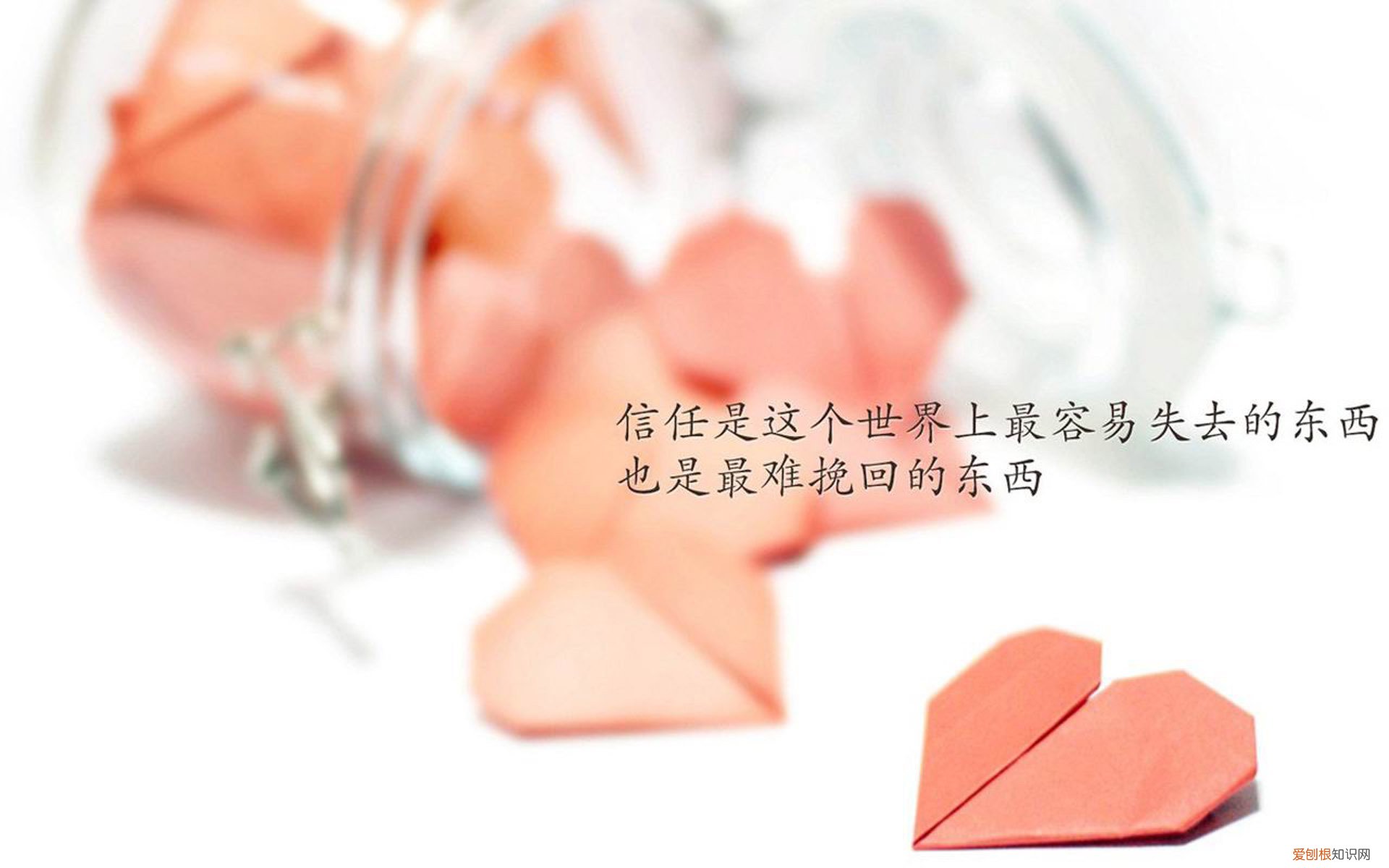 小孩游乐场有哪些游乐场设备？ 儿童游乐场设备