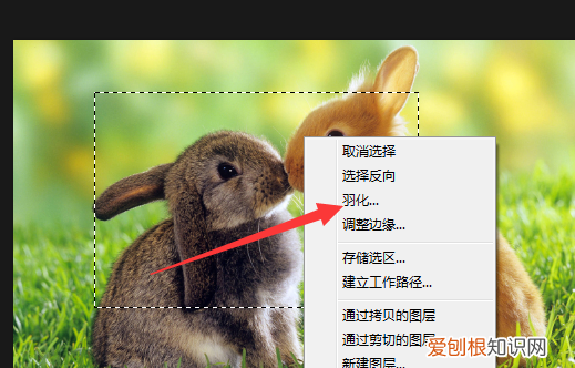 ps怎么羽化边缘，PS羽化边缘要怎么才能羽化