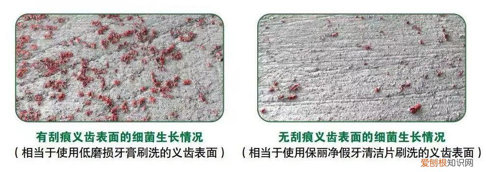 保丽净假牙清洁片