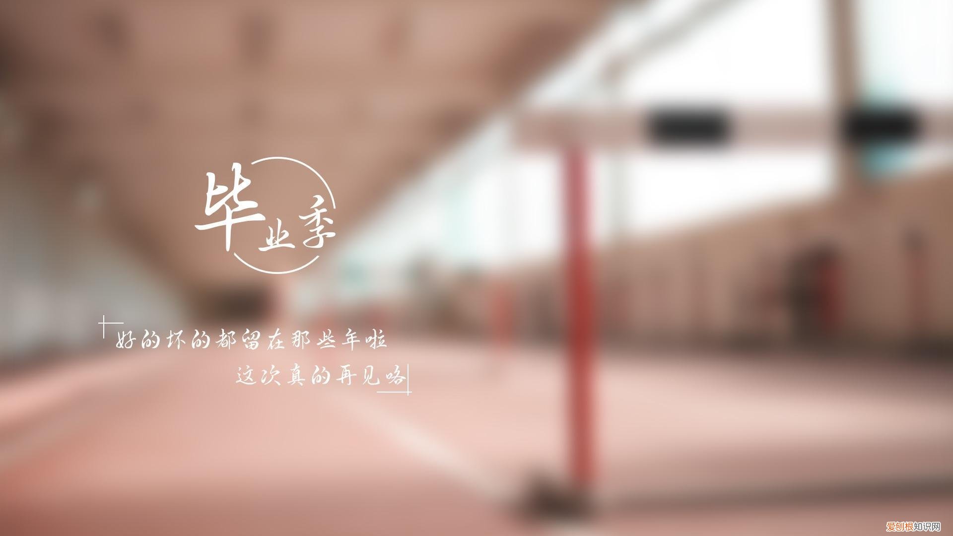苦瓜炒蛋这样做 苦瓜炒蛋
