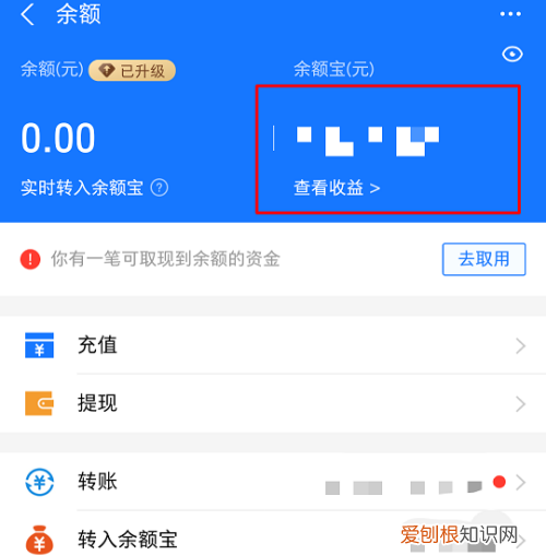 支付宝余额应该如何才可以查，支付宝如何查看某个月剩了多少钱