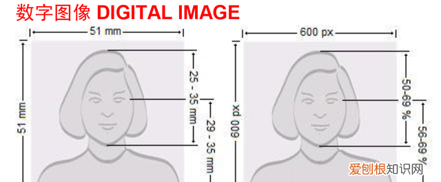 涵品教育苏忆老师：常用证件照尺寸总结