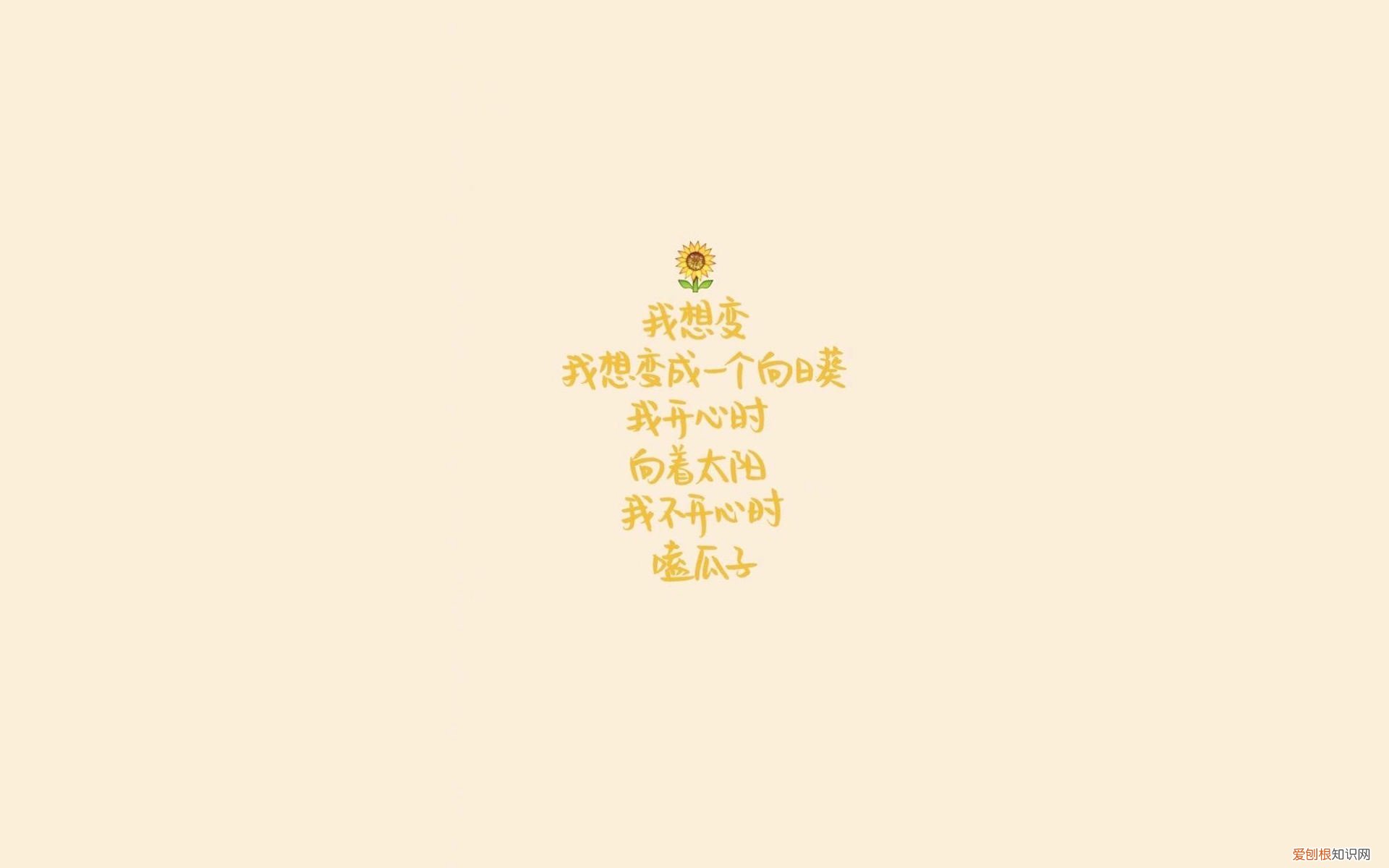 怎样炖老母鸡汤才好喝 母鸡汤的做法